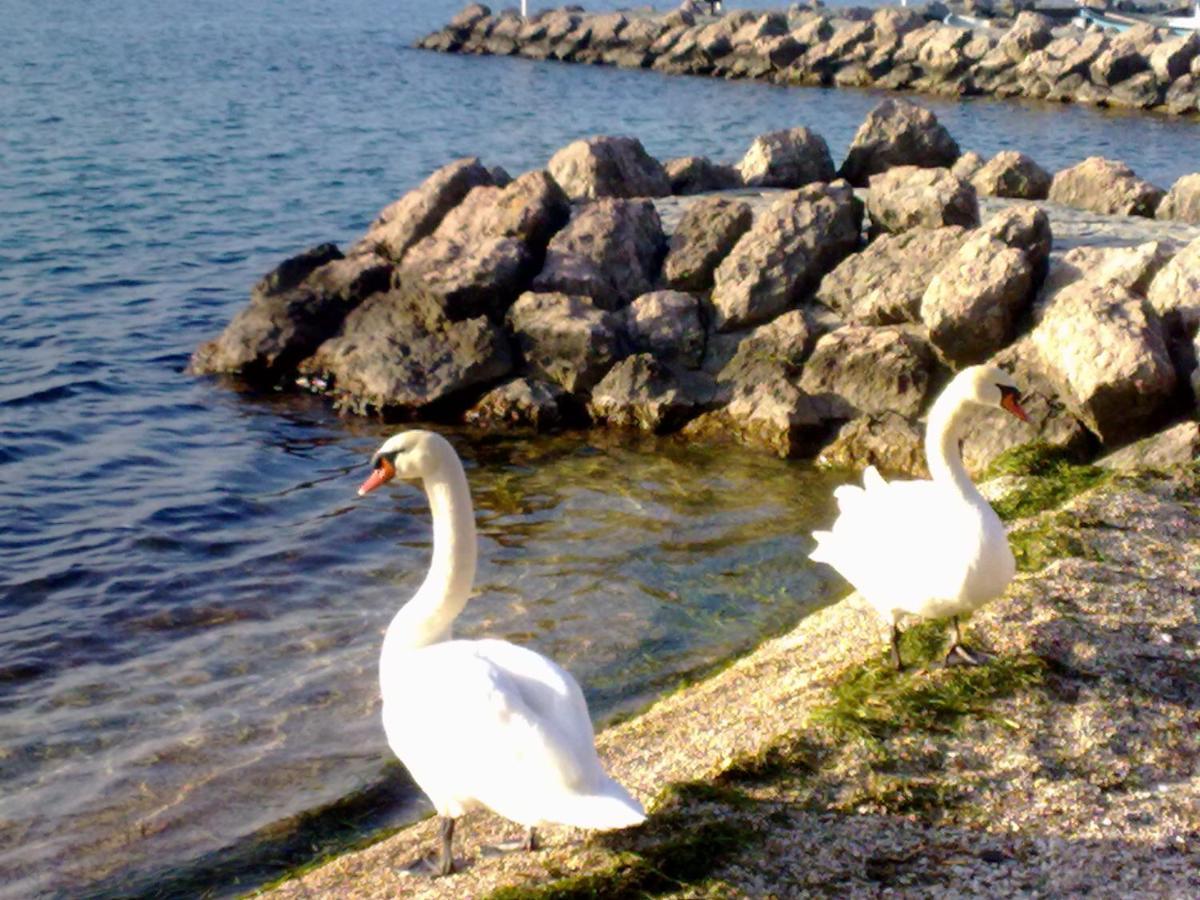 Residenza Al Sogno - On Lake Garda Cavaion Veronese Exterior foto